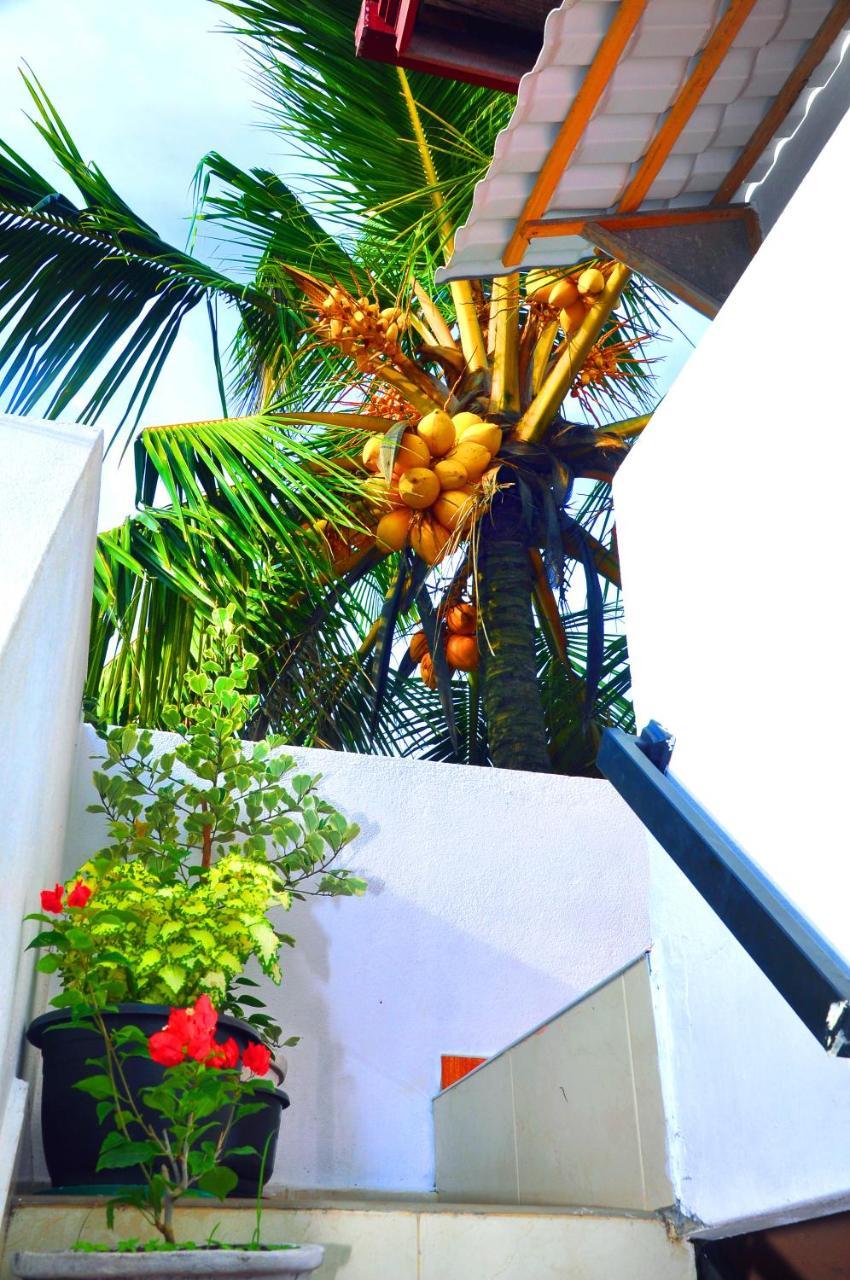 Senero House Hotel Bentota Ngoại thất bức ảnh